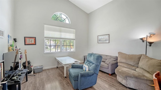 12339 Hollybush Ter, Lakewood Ranch, FL 34202 - living area with high vaulted ceiling, wood finished floors, and baseboards