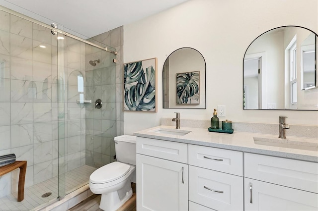 full bathroom featuring a sink, toilet, and a shower stall