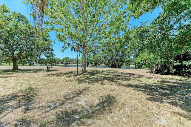 view of yard with a water view