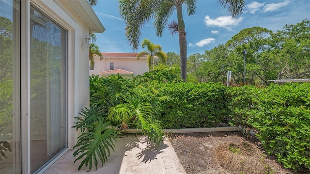4264 Central Sarasota Pkwy Unit 111, Sarasota, FL 34238 - view of yard