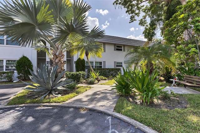 5800 Hollywood Blvd Unit 312, Sarasota, FL 34231 - view of front of property featuring stucco siding