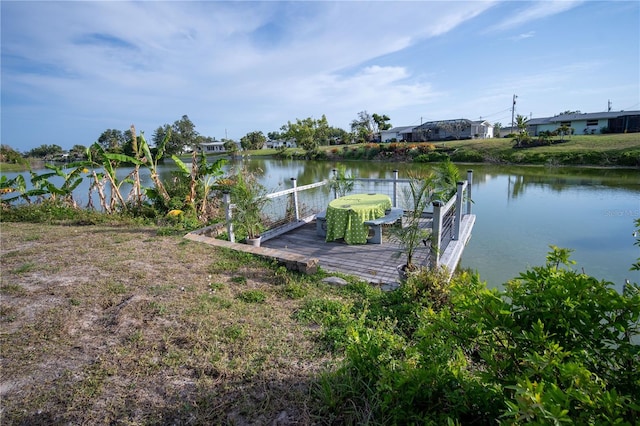 dock area with a water view