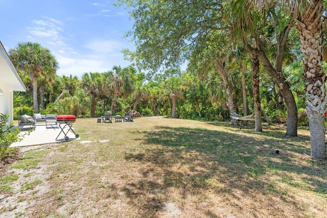 view of yard with a patio area
