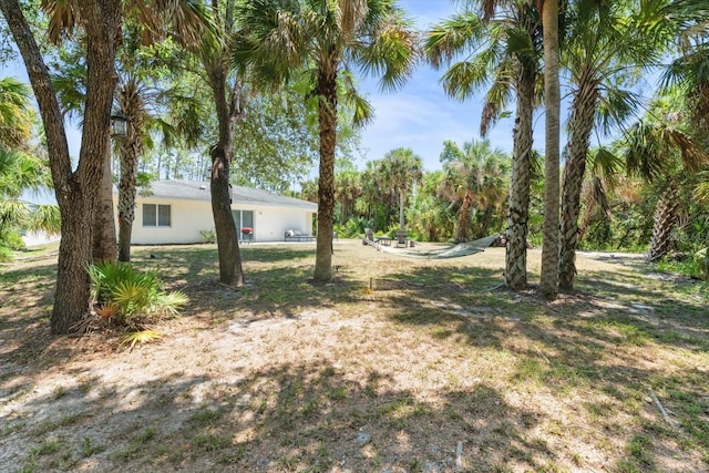 view of yard
