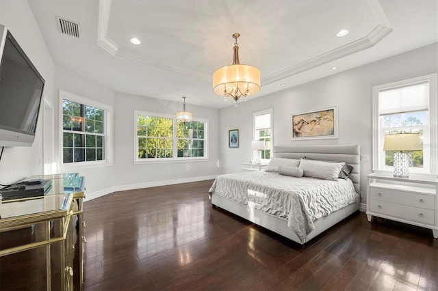 bedroom with a raised ceiling, dark wood-style floors, and multiple windows