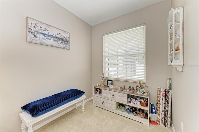 6546 Blue Grosbeak Cir, Lakewood Ranch, FL 34202 - rec room with carpet and baseboards