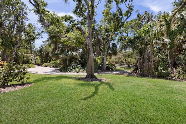 536 Lakeside Dr Unit 0, Bradenton, FL 34210 - view of green lawn