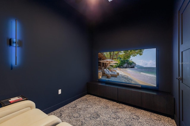 cinema featuring baseboards