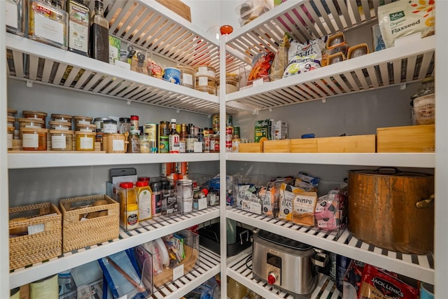 13319 Deep Blue Pl, Bradenton, FL 34211 - view of pantry