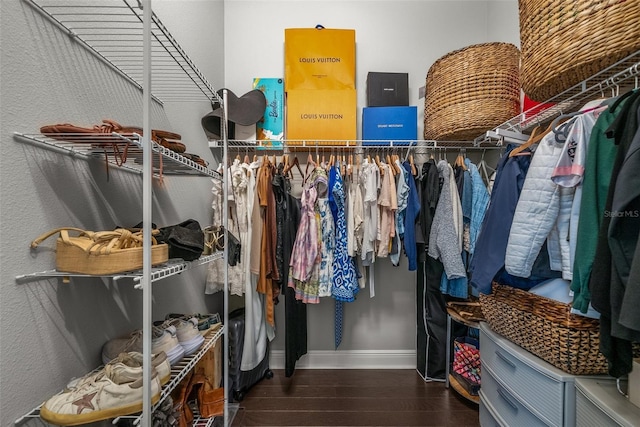 13319 Deep Blue Pl, Bradenton, FL 34211 - walk in closet with wood finished floors