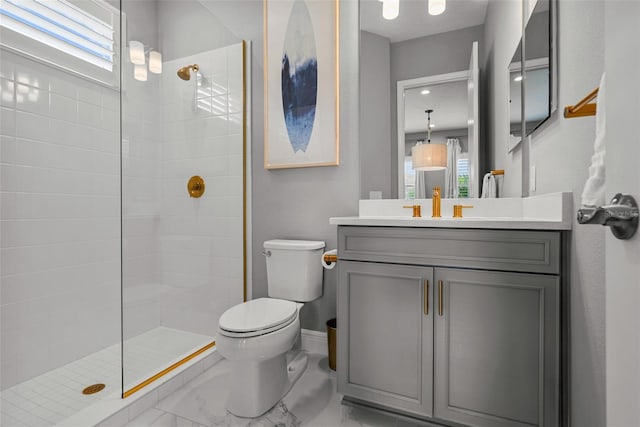 13319 Deep Blue Pl, Bradenton, FL 34211 - bathroom with toilet, healthy amount of natural light, vanity, and walk in shower