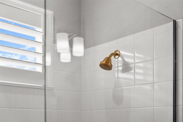 13319 Deep Blue Pl, Bradenton, FL 34211 - bathroom view of tiled shower