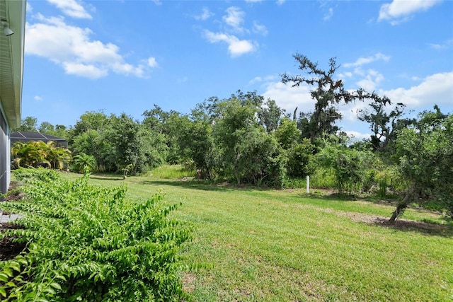 13319 Deep Blue Pl, Bradenton, FL 34211 - view of green lawn