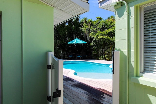 205 Elm Ave, Anna Maria, FL 34216 - view of pool