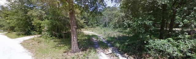 2107 N Blue Max Pt, Hernando, FL 34442