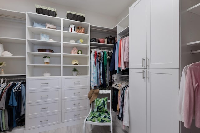 14210 9th Ter NE, Bradenton, FL 34212 - view of walk in closet