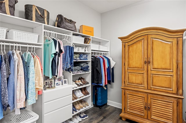spacious closet featuring dark wood finished floors