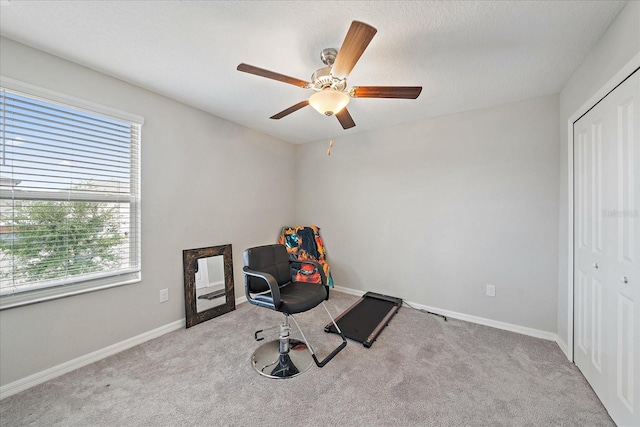 1723 Fred Ives St, Ruskin, FL 33570 - exercise room with baseboards, carpet flooring, and ceiling fan