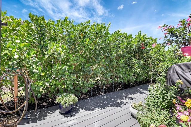 12291 Myrtle Bay Ct, Sarasota, FL 34238 - view of deck