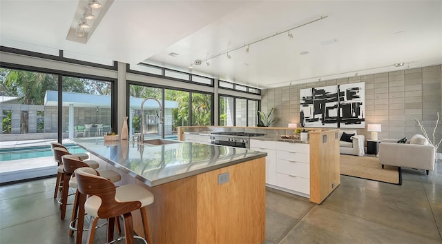 kitchen featuring stainless steel counters, modern cabinets, a sink, track lighting, and a large island with sink
