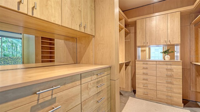 view of walk in closet