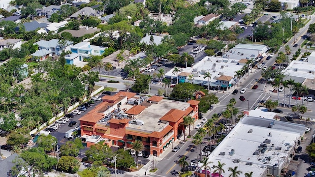 bird's eye view