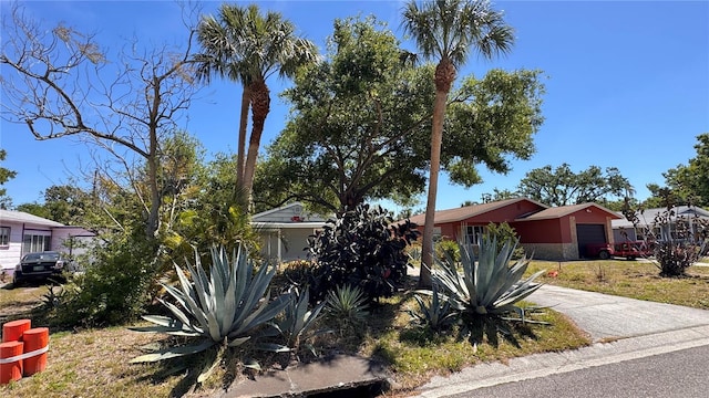2448 45th St S, Saint Petersburg, FL 33711 - photo 3