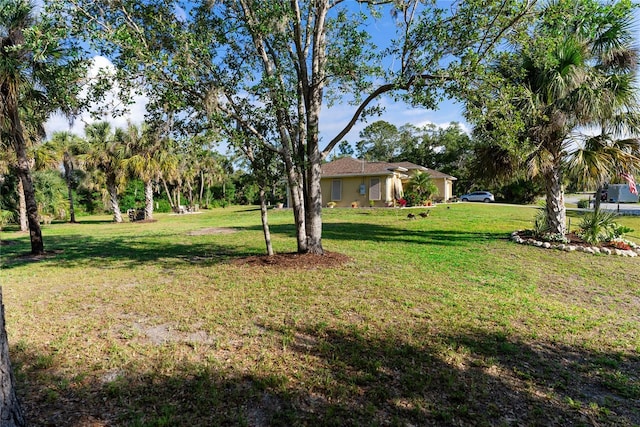 view of yard
