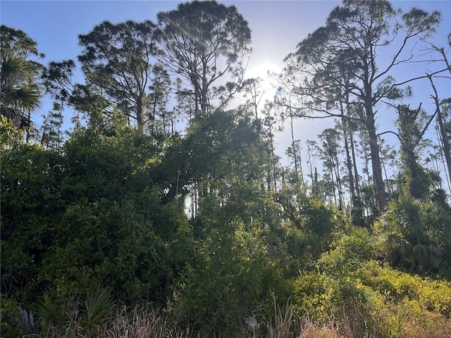 Rufus Rd, North Port, FL 34288 - photo 1
