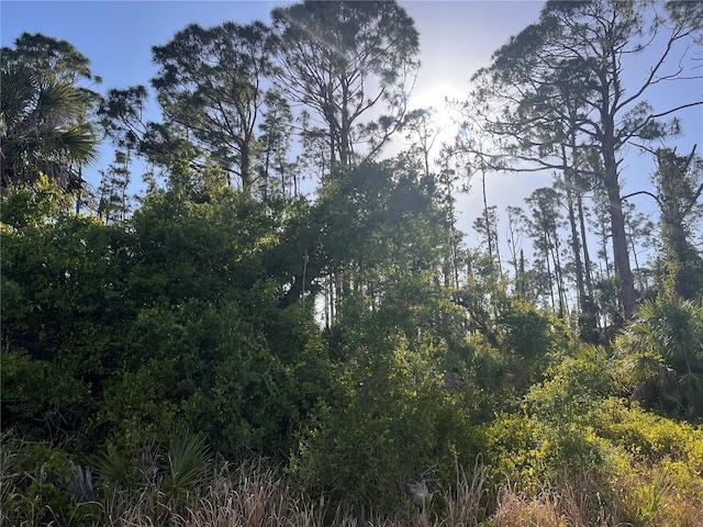 Rufus Rd, North Port, FL 34288 - photo 2