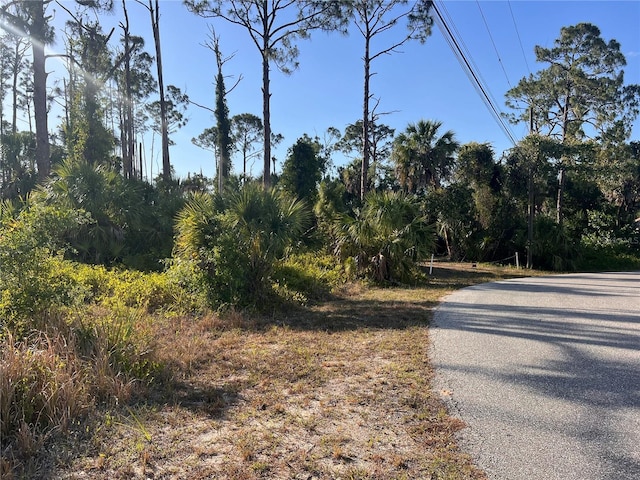 Rufus Rd, North Port, FL 34288 - photo 5