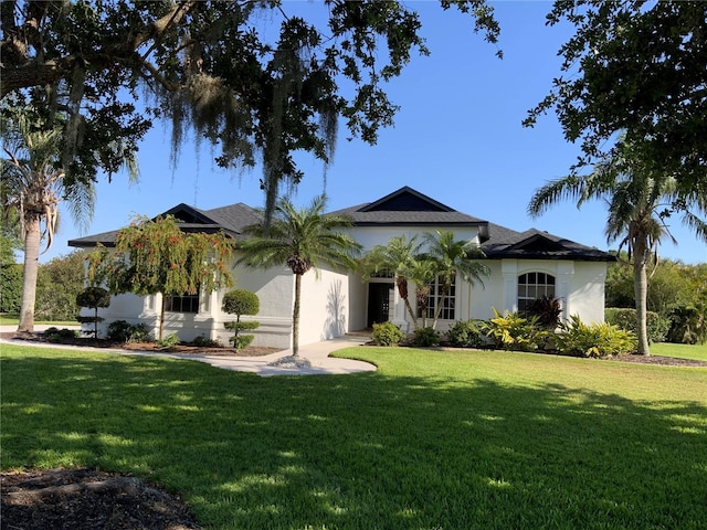ranch-style house featuring stucco siding and a front yard