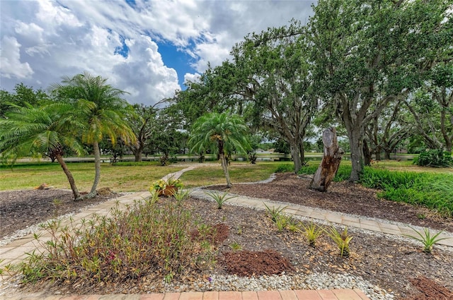 view of property's community
