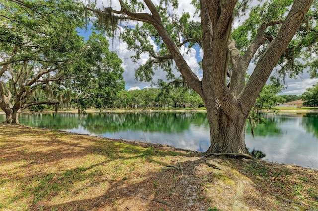 127 Mill Run E, Bradenton, FL 34212 - photo 46