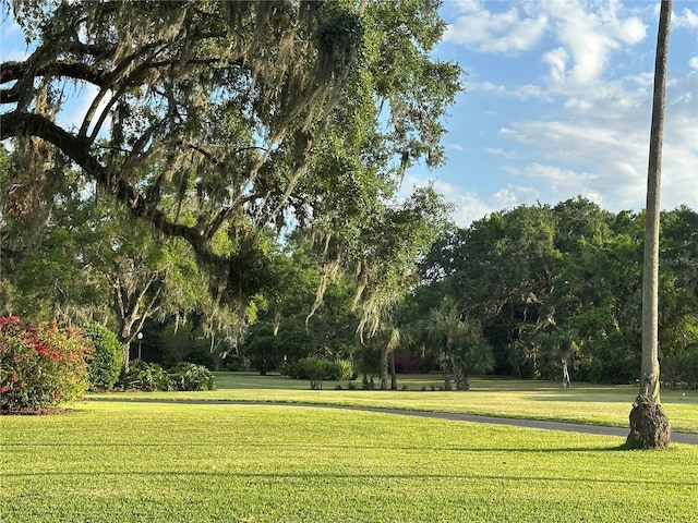 708 E Main St, Wauchula, FL 33873 - surrounding community featuring a lawn