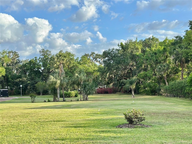 708 E Main St, Wauchula, FL 33873 - view of community featuring a lawn