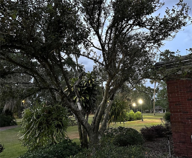 708 E Main St, Wauchula, FL 33873 - view of yard