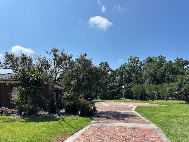 708 E Main St, Wauchula, FL 33873 - view of home's community with a yard