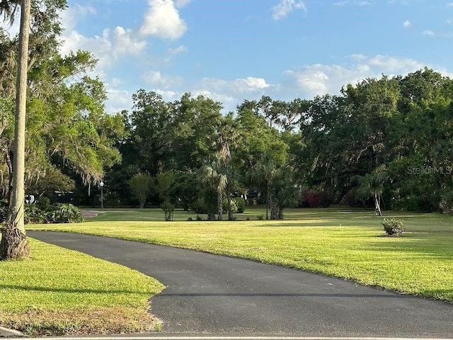 708 E Main St, Wauchula, FL 33873 - view of home's community featuring a lawn