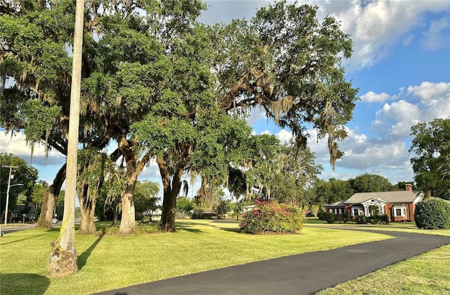 708 E Main St, Wauchula, FL 33873 - view of property's community with a yard and aphalt driveway