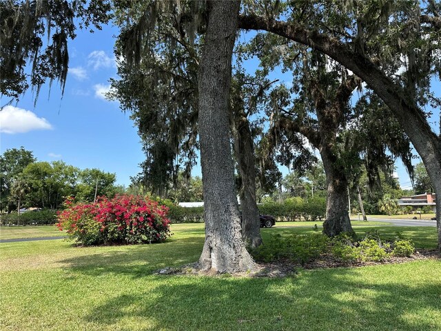 708 E Main St, Wauchula, FL 33873 - view of home's community with a yard
