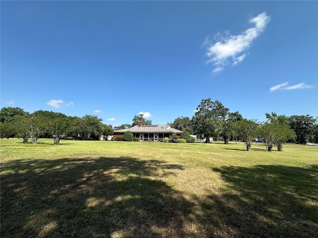 708 E Main St, Wauchula, FL 33873 - view of yard