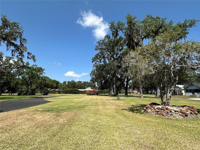 708 E Main St, Wauchula, FL 33873 - view of yard