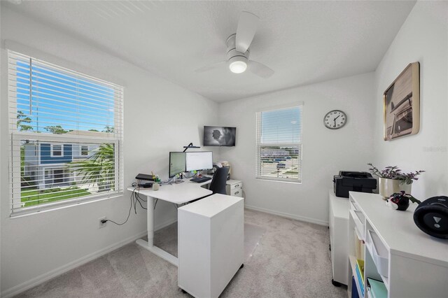 15051 Ginetti St, Nokomis, FL 34275 - photo 25