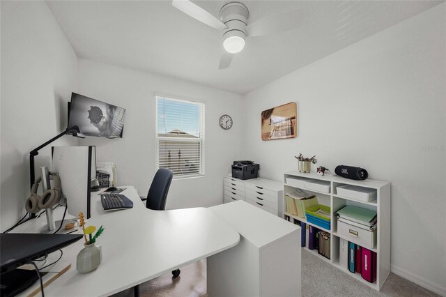 15051 Ginetti St, Nokomis, FL 34275 - photo 26