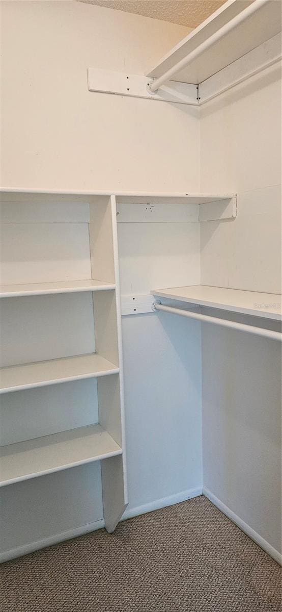 spacious closet with carpet flooring
