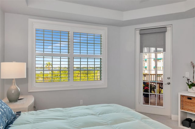 bedroom with carpet flooring, baseboards, and multiple windows