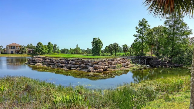6819 Dominion Ln, Lakewood Ranch, FL 34202 - water view