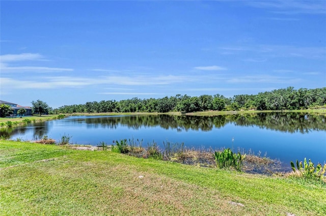 view of water feature