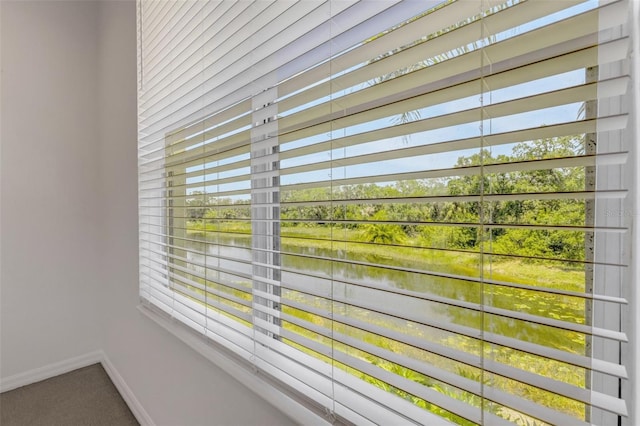 detailed view of a water view, baseboards, and carpet floors